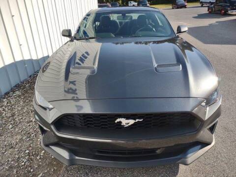 2019 Ford Mustang for sale at CU Carfinders in Norcross GA