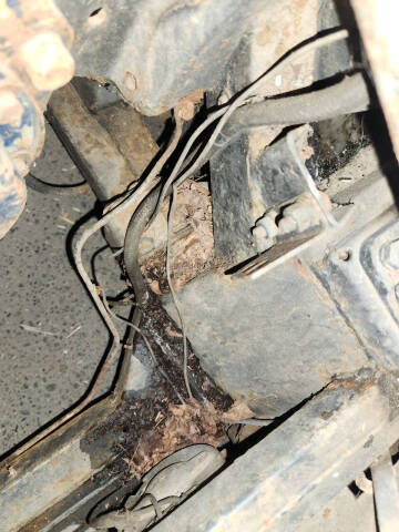 1955 Austin-Healey 100.4 BN1