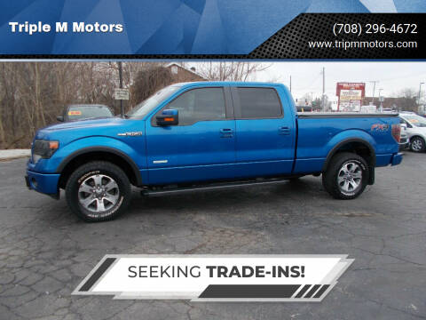 2014 Ford F-150 for sale at Triple M Motors in Saint John IN