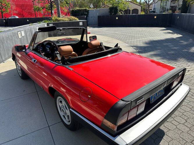1986 Alfa Romeo Spider Veloce