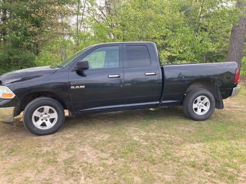 2010 Dodge Ram 1500 for sale at Expressway Auto Auction in Howard City MI