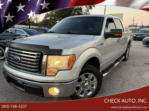 2011 Ford F-150 for sale at CHECK AUTO, INC. in Tampa FL