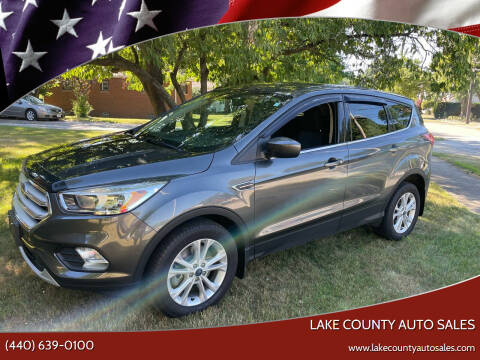 2019 Ford Escape for sale at Lake County Auto Sales in Painesville OH