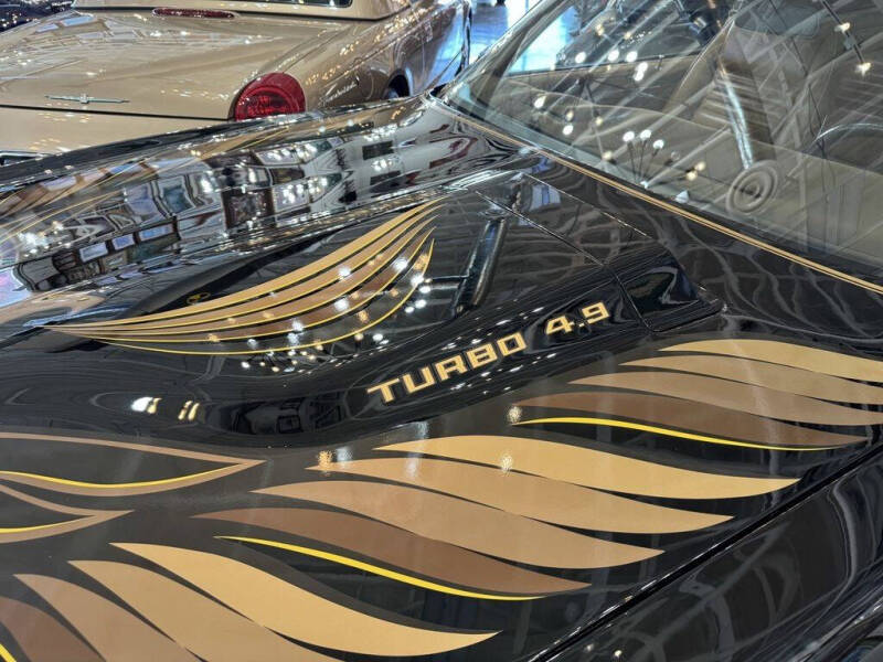 1981 Pontiac Firebird Trans Am