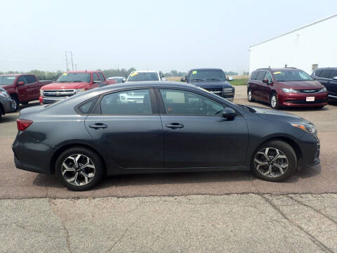 2019 Kia Forte for sale at Salmon Automotive Inc. in Tracy MN