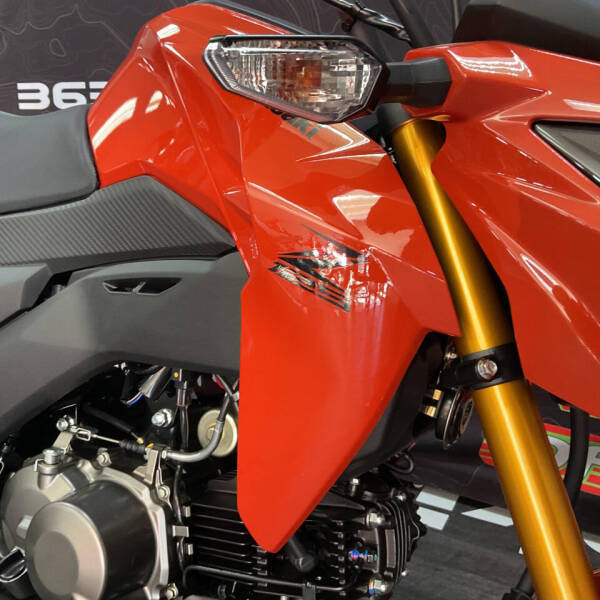 2025 Kawasaki Z125 Pro