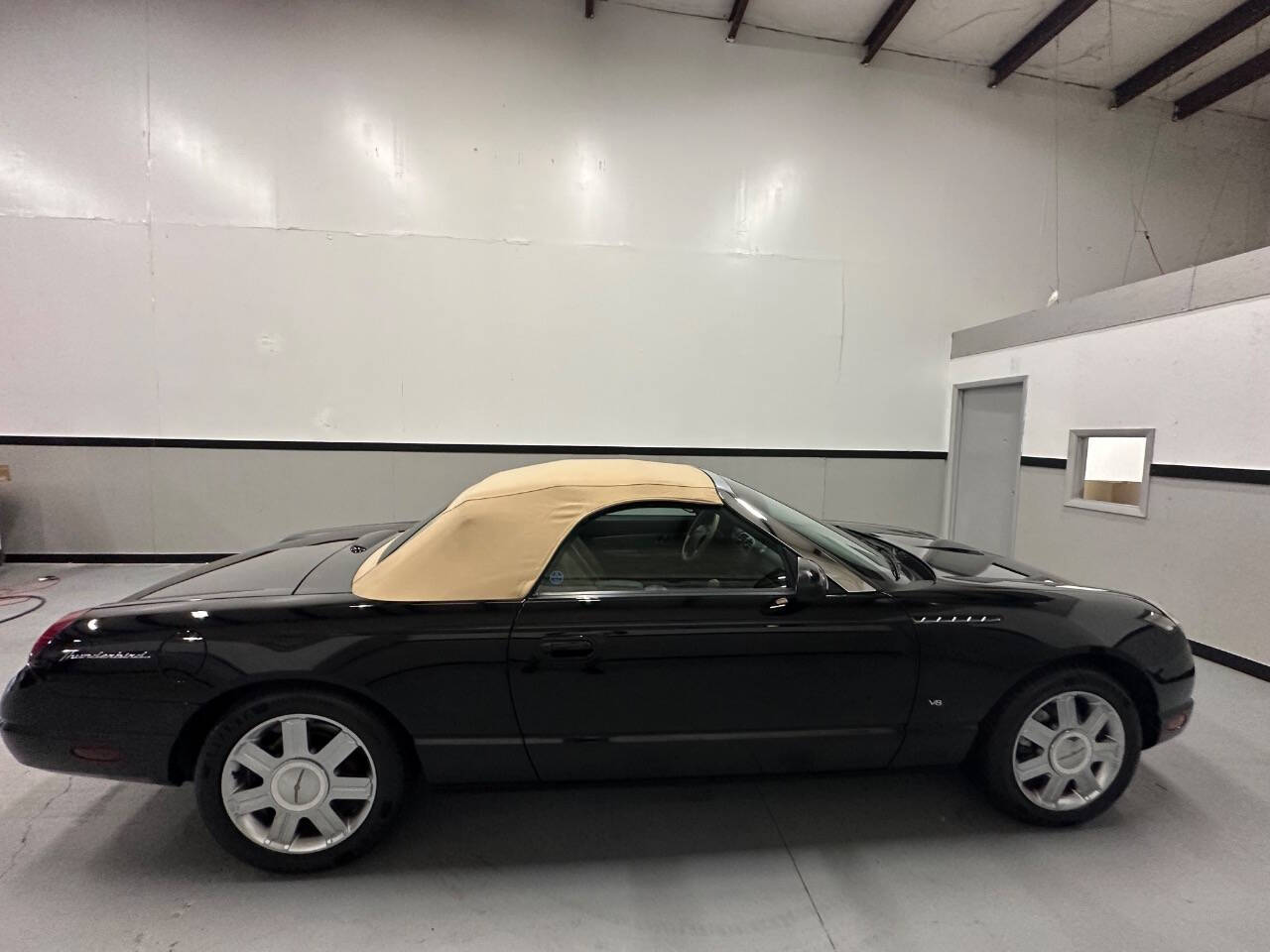 2004 Ford Thunderbird for sale at EUROPEAN MOTORCARS OF TAMPA in Tampa, FL