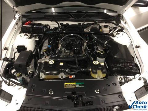 2007 Ford Shelby GT500