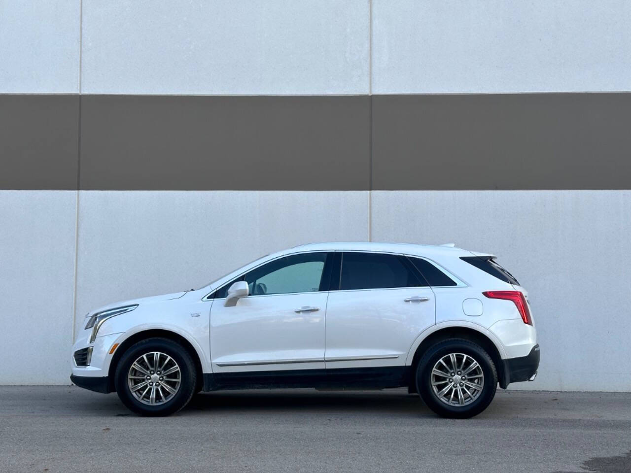 2019 Cadillac XT5 for sale at Phoenix Motor Co in Romulus, MI