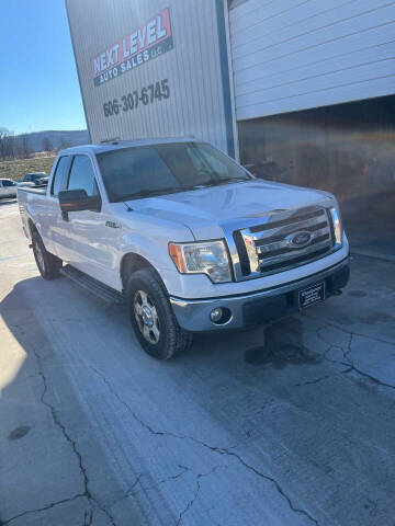 2010 Ford F-150 for sale at Next Level Auto Sales LLC in Monticello KY