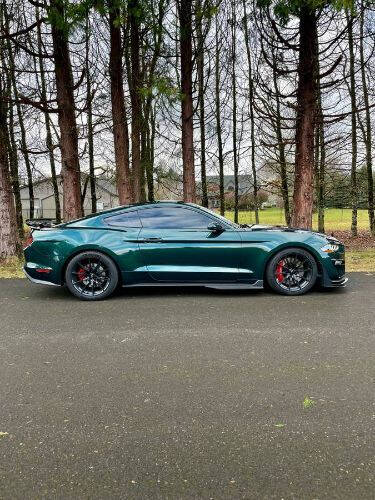 2019 Ford Mustang BULLITT
