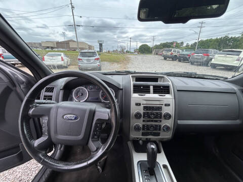 2010 Ford Escape XLT
