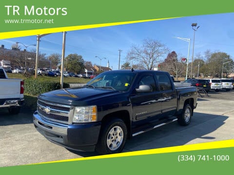 2010 Chevrolet Silverado 1500 for sale at TR Motors in Opelika AL