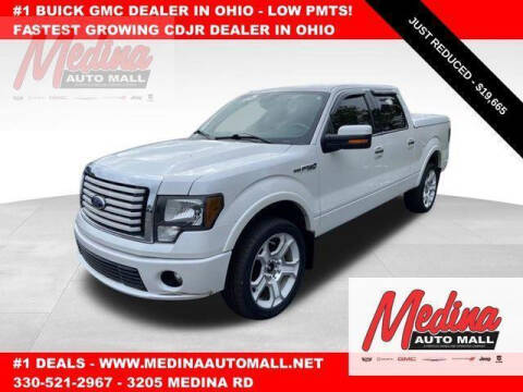 2011 Ford F-150 for sale at Medina Auto Mall in Medina OH