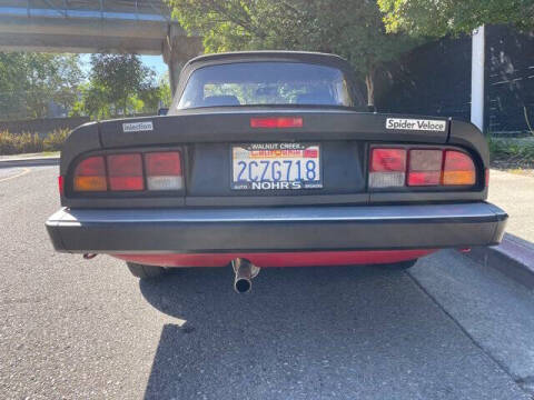 1986 Alfa Romeo Spider Veloce