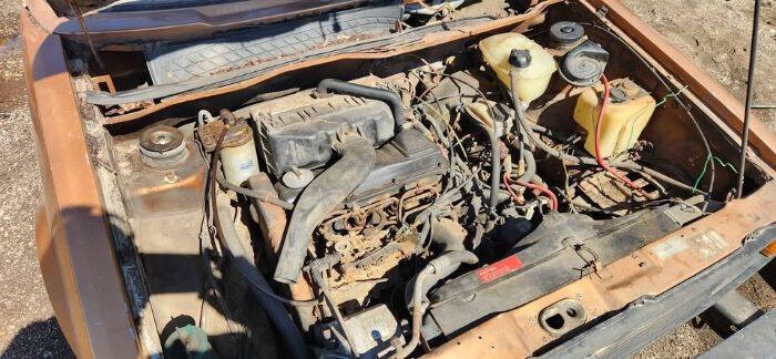 1981 Volkswagen Rabbit