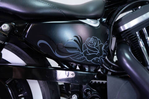 2015 Harley-Davidson Iron 883