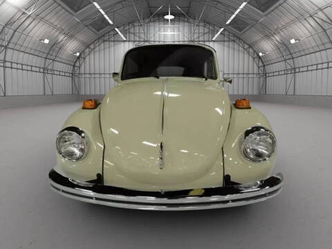 1973 Volkswagen Beetle