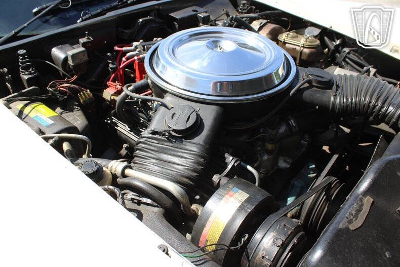 1981 Chevrolet Corvette