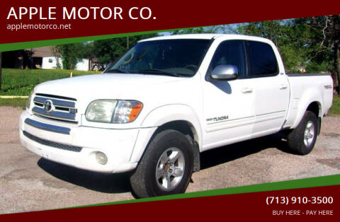 2006 Toyota Tundra for sale at APPLE MOTOR CO. in Houston TX