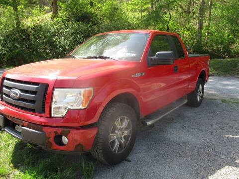 2010 Ford F-150 for sale at Rodger Cahill in Verona PA