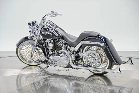2009 Harley-Davidson FLTSN