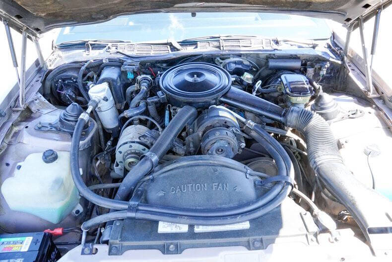 1984 Pontiac Firebird