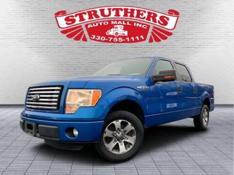 2012 Ford F-150 for sale at STRUTHERS AUTO MALL in Austintown OH