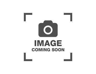 2017 Harley-Davidson Softail