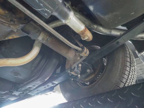 1981 Pontiac Firebird Trans Am