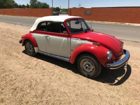 1979 Volkswagen Beetle for sale at Classic Car Deals in Cadillac MI