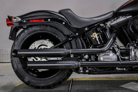 2010 Harley-Davidson Softail