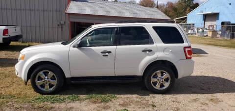 2009 Ford Escape XLT