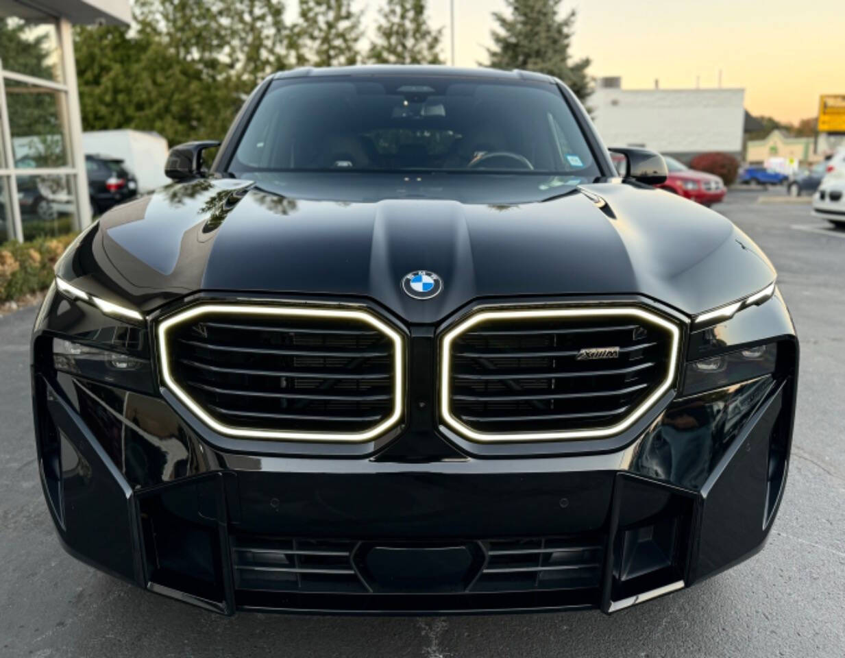 2023 BMW XM for sale at Opus Motorcars in Utica, MI