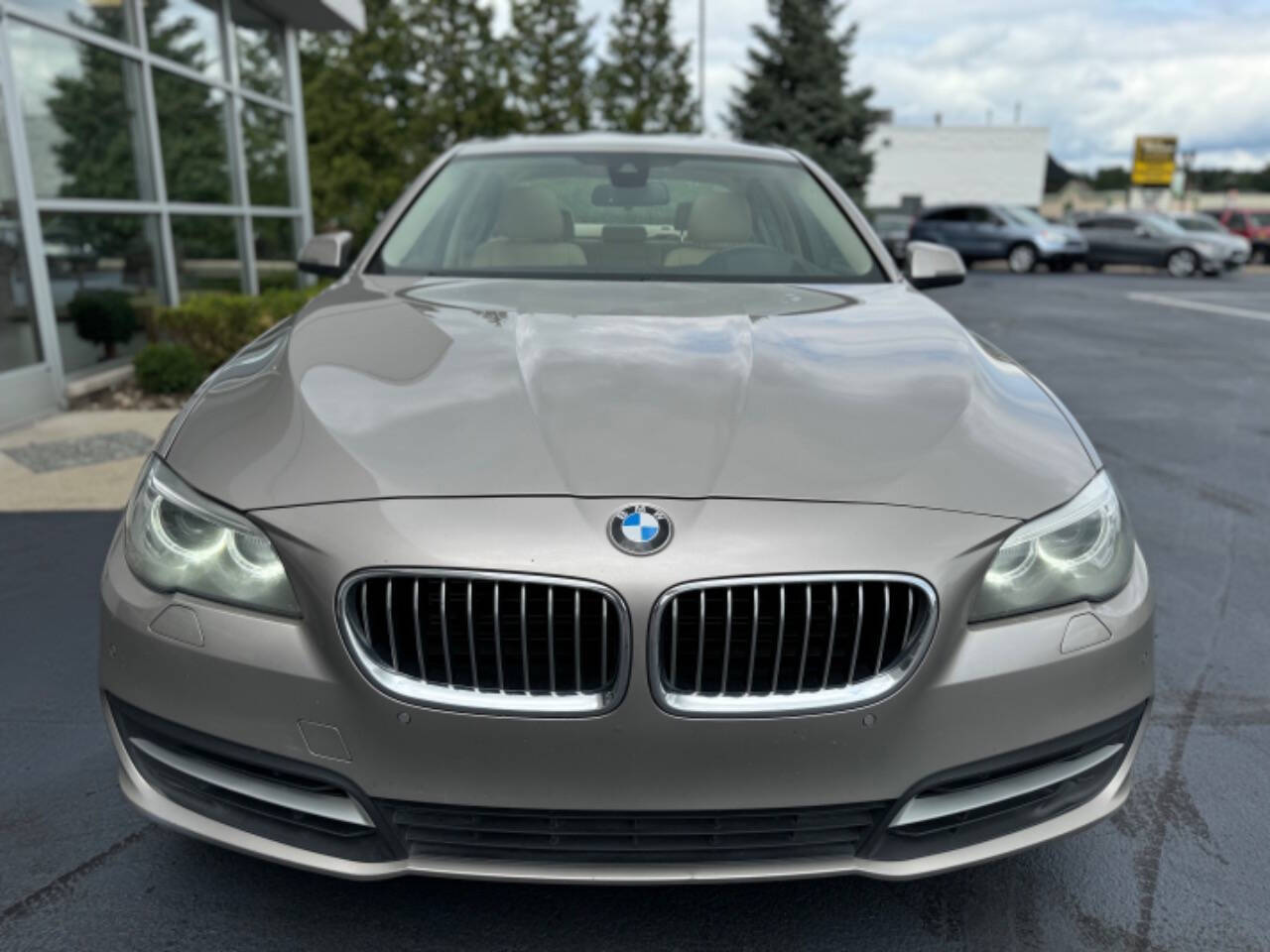 2014 BMW 5 Series for sale at Opus Motorcars in Utica, MI