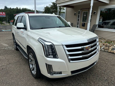 2015 Cadillac Escalade for sale at G & G Auto Sales in Steubenville OH