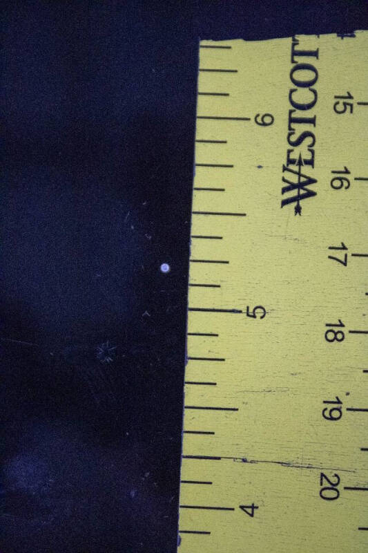 1989 Jaguar XJ-Series XJS