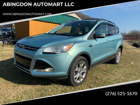 2013 Ford Escape for sale at ABINGDON AUTOMART LLC in Abingdon VA