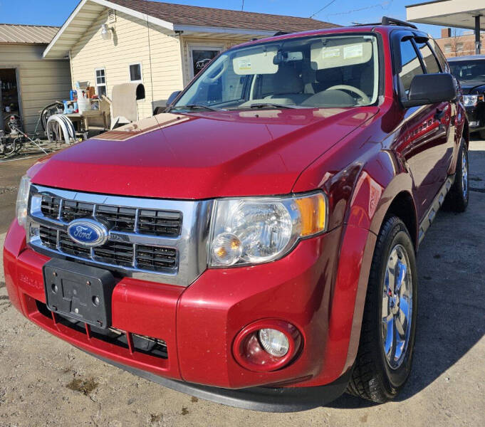 2011 Ford Escape for sale at Adan Auto Credit in Effingham IL