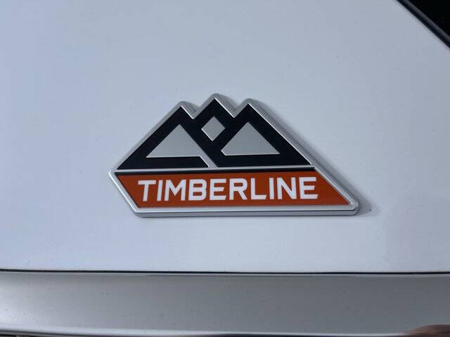 2024 Ford Expedition Timberline