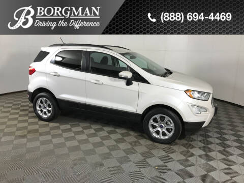 2020 Ford EcoSport for sale at BORGMAN OF HOLLAND LLC in Holland MI