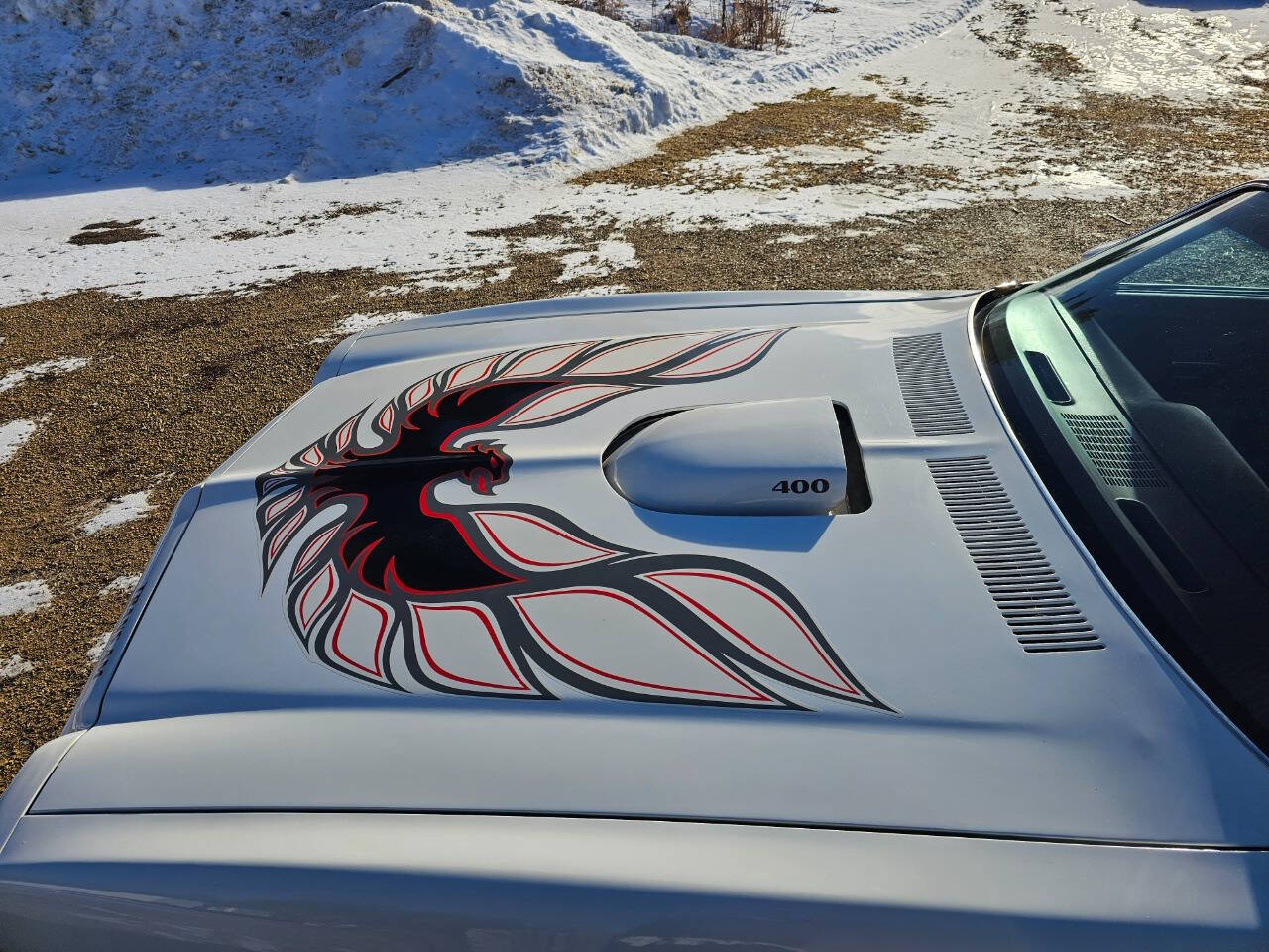 1976 Pontiac Trans Am 233