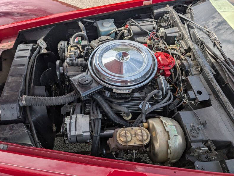 1981 Chevrolet Corvette