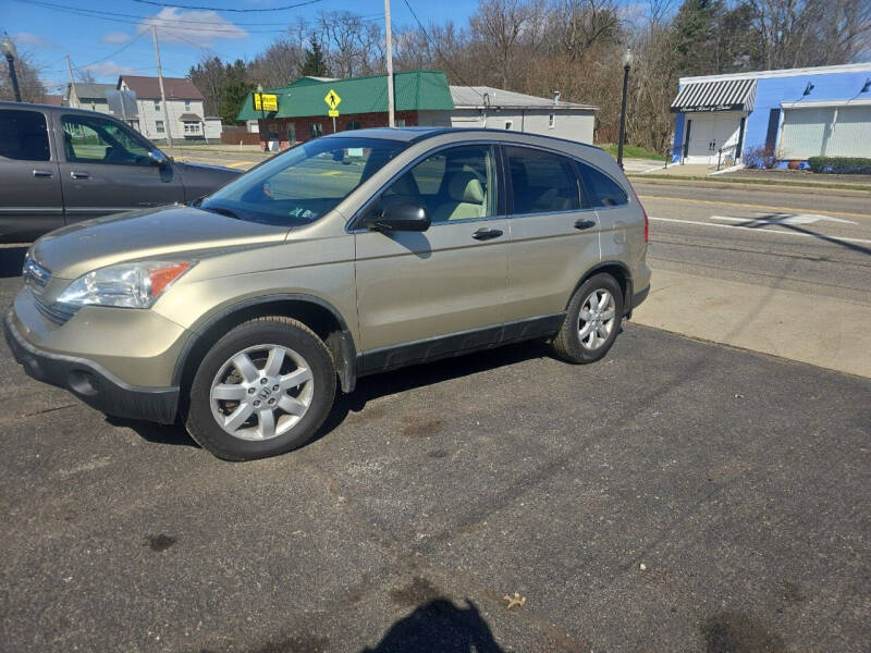 2009 Honda CR-V for sale at Maximum Auto Group II INC in Cortland OH