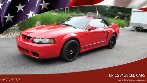2004 Ford Mustang SVT Cobra
