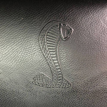 2009 Ford Shelby GT500