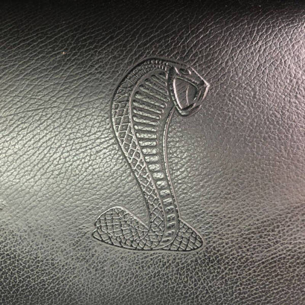 2009 Ford Shelby GT500