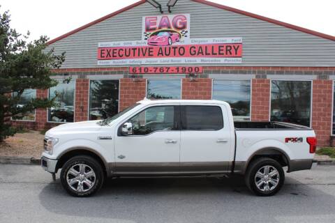 2020 Ford F-150 for sale at EXECUTIVE AUTO GALLERY INC in Walnutport PA