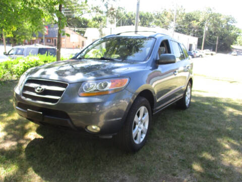 2009 Hyundai Santa Fe for sale at Triangle Auto Sales in Elgin IL