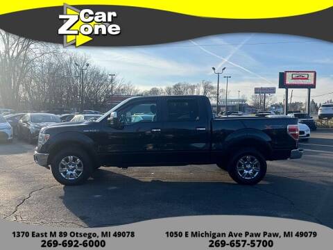 2014 Ford F-150 for sale at Car Zone in Otsego MI